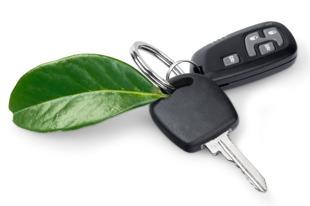 Tecnologia Regenerativa e Custo