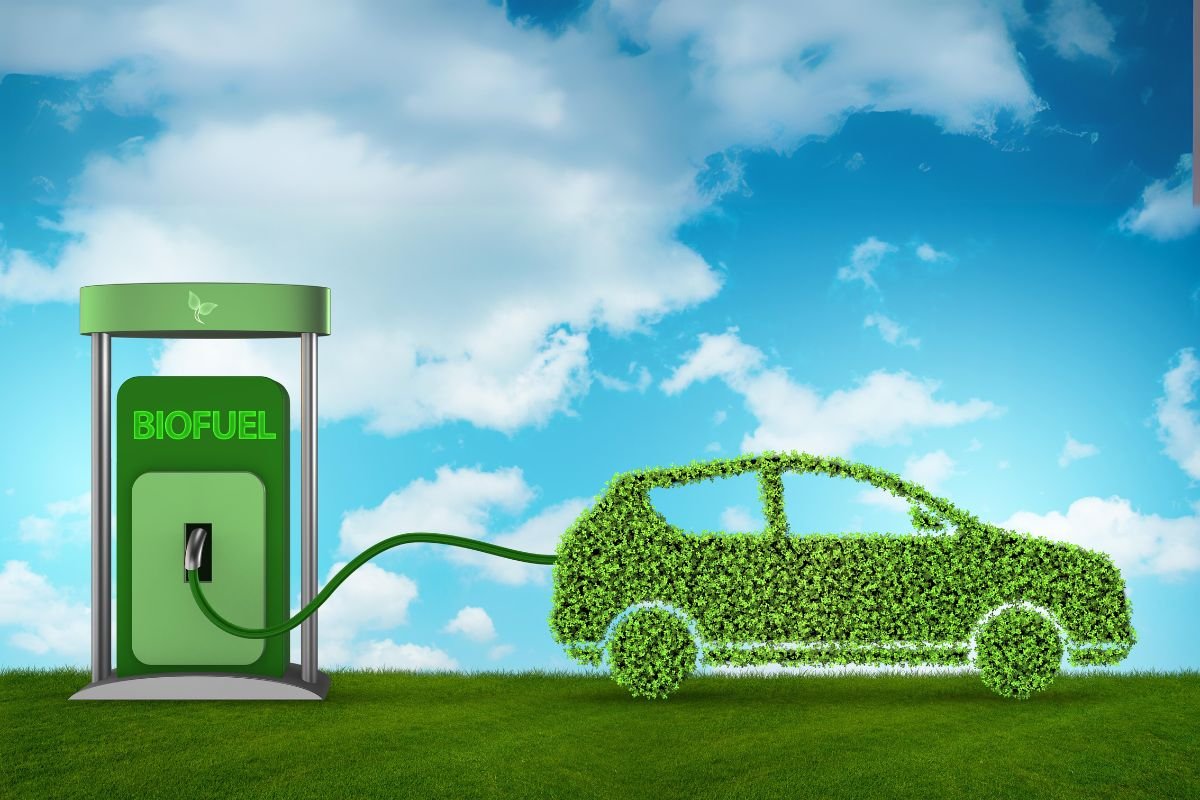 Veículos Ecológicos: A Nova Geração de Transporte